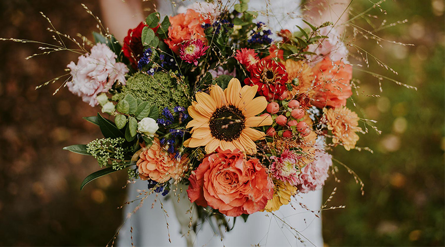 Welche Blumen und wo sollen sie platziert werden?